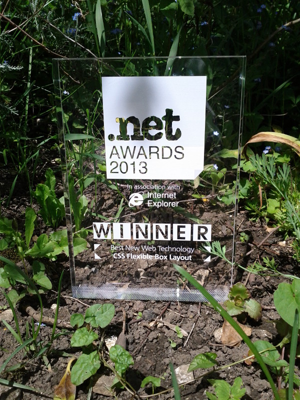Net Award Best New Web Technology 2013 for CSS Flexible Box Layout Module